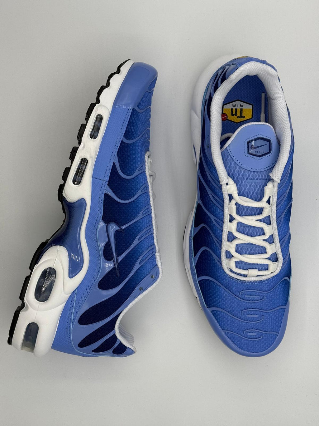 Nike Air Max Tuned 1 "Royal Blue"